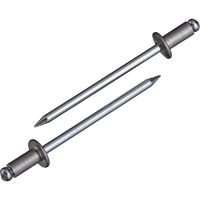 ロブテックス エビ ブラインドリベット(丸頭)NSA42MP エコパック入り NSA42MP 1箱(80本入)