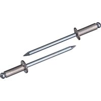 ロブテックス エビ ブラインドリベット(丸頭) エコパック入り NSA46MP 1箱(65本入)