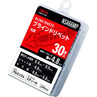 ロブテックス ブラインドリベット（アルミニウム／スティール製）　6ー6（30本入）　エコパック NSA66MP 1パック