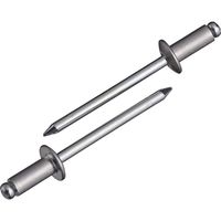 エビ ブラインドリベット（丸頭） エコパック入り NSA614MP 1箱（12本入） ロブテックス（直送品）