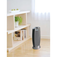 Ionic Breeze イオニックブリーズMIDI チタニウムシルバー 59100 1台