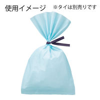 石崎商事 PBL-A19 パレットバッグ ライトブルー  008705820 1セット(50枚入×50パック 合計 2500枚)（直送品）