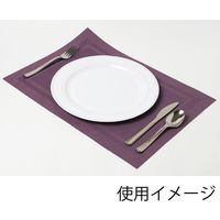 アームカンパニー ZEK1779プレイスマット 004508518　1セット（12枚）（直送品）