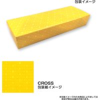 クロス 【ギフト包装品】タウンゼントブラックラッカー ロジウムプレートボールペン AT0042TW-4（直送品）