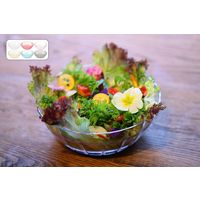 石川樹脂工業 クラッシュボール M サクラピンク 4532902206779 1セット(4個)（直送品）