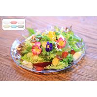 石川樹脂工業 クラッシュプレート S 4532902206830 1セット(5個)（直送品）