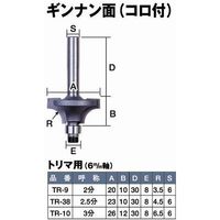 SルータービットTR-38ギンナン面コロ付 2.5分 061269 ライト精機（直送品）