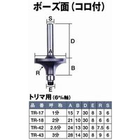 SルータービットTR-18ボーズ面 2分 コロ付 061248 ライト精機（直送品）