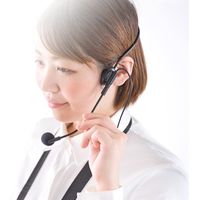 サンワダイレクト ヘッドマイク(400-SP065専用・単一指向性・1m) 400-SP065HM 1個（直送品）