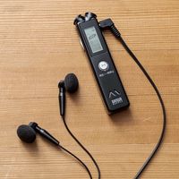 サンワダイレクト ボイスレコーダー（ICレコーダー・小型・長時間再生対応・4GBメモリ内蔵） 400-SCNICR1BK 1個（直送品）