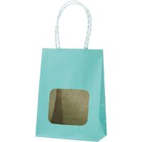 パックタケヤマ 紙袋 ウィンドウミニバッグ スカイ XZT65217 100枚（25×4）（直送品）