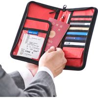 サンワダイレクト パスポートケース（トラベルオーガナイザー・13ポケット・航空券対応・Lサイズ・ブラック） 200-BAGIN002BK 1個（直送品）