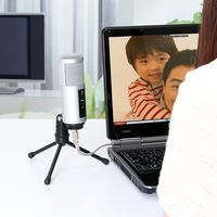 サンワダイレクト スタンドマイク（USB・単一指向性・コンデンサータイプ・高音質） 400-MC002 1個（直送品）