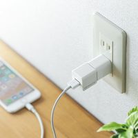 サンワダイレクト iPhoneカードリーダー（iPhone・バックアップ・microSD・Qubii・充電・カードリーダー） 1個（直送品）