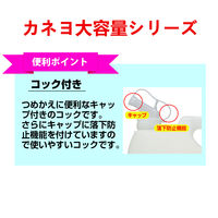 抗菌・無香料衣料用洗剤 5kg 1セット（1個×3） 洗たく洗剤 カネヨ石鹸