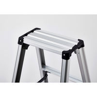 【専用脚立】 長谷川工業 軽量専用脚立 脚軽130 5段 RZ-15c 1台