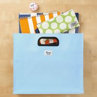 セキセイ フィンダッシュ デスクバックA4ヨコ パンプキン FINN-7703-53 1冊