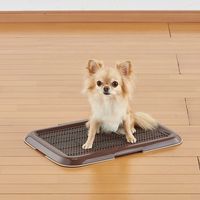 薄型 しつけるトレー S ブラウン 1個 ボンビアルコン 犬用