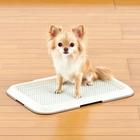 薄型 しつけるトレー S アイボリー 1個 ボンビアルコン 犬用