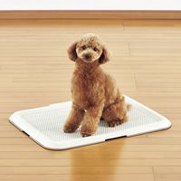 薄型 しつけるトレー M アイボリー 1個 ボンビアルコン 犬用