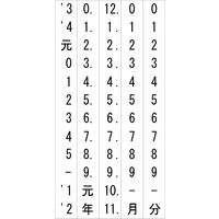 サンビー テクノタッチ回転印 欧文 6号5連日付 [ゴシック体] TKA-GD65 1個