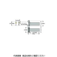 イスカル SGツールブロック SGTBF32ーA(2300718 SGTBF32-A 1個（直送品）