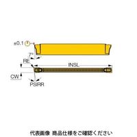 イスカル TAチップ DGL3002Cー6DーXLIC808 1セット(10個)（直送品）