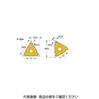 イスカル TAチップ 16ER16ACMEIC908(5902603 16ER16ACMEIC908 1セット(10個)（直送品）