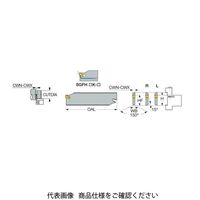 イスカル SGブレード SGFH19ー1(2300507 SGFH19-1 1枚（直送品）
