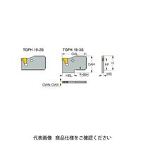 イスカル TGブレード TGFH19ー2S(2391927 TGFH19-2S 1枚（直送品）
