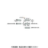 イスカル TAチップ GIDA80ー40YZIC20 1セット(10個)（直送品）