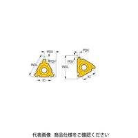 イスカル TAチップ 22IR4ACMEIC908(5902392 22IR4ACMEIC908 1セット(10個)（直送品）