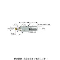 イスカル メントリホルダー CHAMRING250ーWN40ー09(3203088 CHAMRING250-WN40-09 1本（直送品）