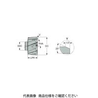 イスカル TAチップ RMーBN7ー17.000ーH7LBIC908(5140034 RM-BN7-17.000-H7LBIC908 1個（直送品）