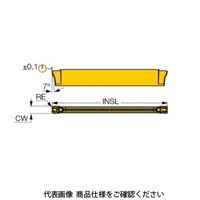 イスカル TAチップ DGN2002JーXLIC5400 1セット(10個)（直送品）