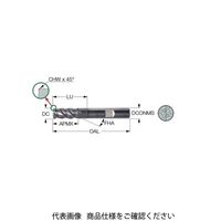 イスカル ソリッドEM EFSーB4425ー52W25ー121900 1本（直送品）