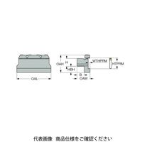 イスカル TGSUブレード TGTBU25ー35(2302199 TGTBU25-35 1枚（直送品）
