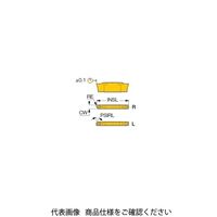 イスカル TAチップ DGR1900WPー5DIC328(6094429 DGR1900WP-5DIC328 1セット(20個)（直送品）