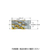 イスカル シュレッドミル P290SMD050ー04ー53ー22ー18(3110781 P290SMD050-04-53-22-18 1台（直送品）