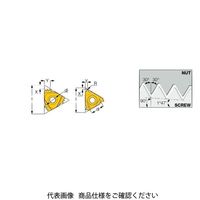 イスカル TAチップ 16ERM18NPTIC808(5903397 16ERM18NPTIC808 1セット(5個)（直送品）