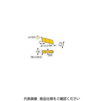 イスカル TAチップ GIF4.00Eー2.00IC20(6400095 GIF4.00E-2.00IC20 1セット(20個)（直送品）