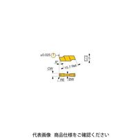 イスカル TAチップ GIFI5.00Eー0.50IC8250(6405207 GIFI5.00E-0.50IC8250 1セット(20個)（直送品）