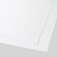 大直 大礼紙 厚口 A4 白 25枚 206040423 1セット