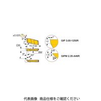 イスカル TAチップ GIPM2.35ーA46LIC328 1セット(10個)（直送品）