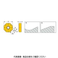 イスカル TAチップ ONMU050505ーTNIC810 1セット(10個)（直送品）