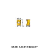 TAチップ H490ANKX120508PNTR830(5605564 H490ANKX120508PNTR830 1セット(10個)（直送品）