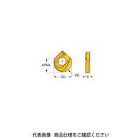 イスカル TAチップ HCRD100ーQFIC908 1セット(10個)（直送品）