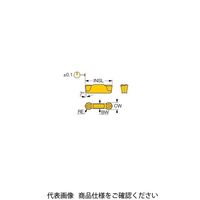 イスカル TAチップ GRIP476ー238YIC808 1セット(10個)（直送品）