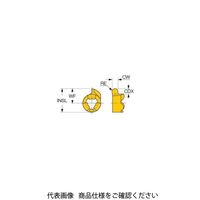 TAチップ GIQR11ー1.20ーR060IC528(6402632 GIQR11-1.20-R060IC528 1セット(20個)（直送品）