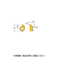 イスカル TAチップ GIQR8ー0.75ー0.00IC528(6402473 GIQR8-0.75-0.00IC528 1セット(20個)（直送品）